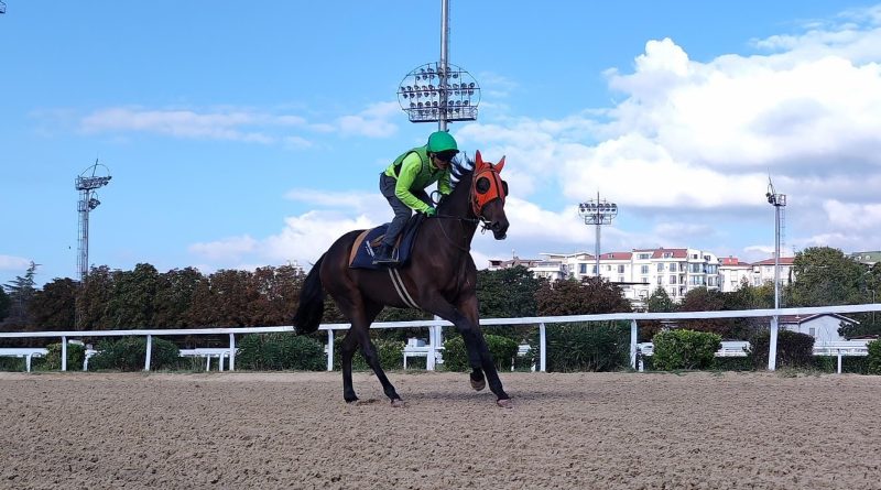 Tanitmama gerek yok 1 Tanitmama gerek yok