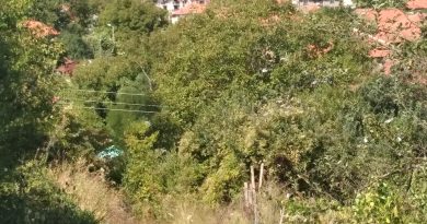 ciddi ilişki arıyorum ve evlilik 4 ciddi ilişki arıyorum ve evlilik