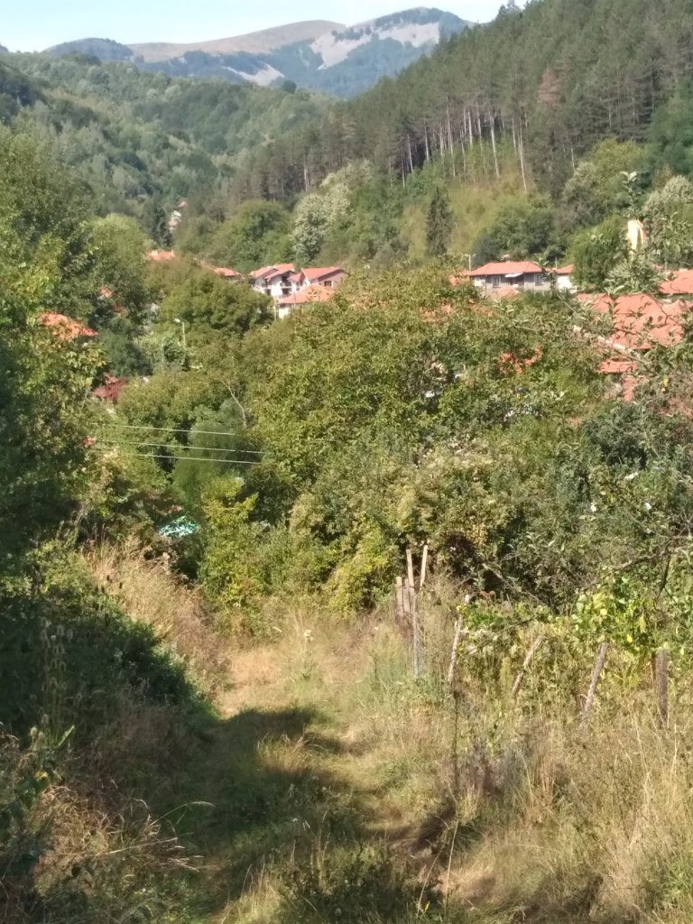 ciddi ilişki arıyorum ve evlilik