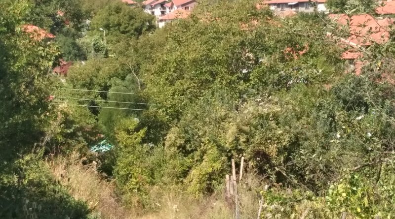 ciddi ilişki arıyorum ve evlilik