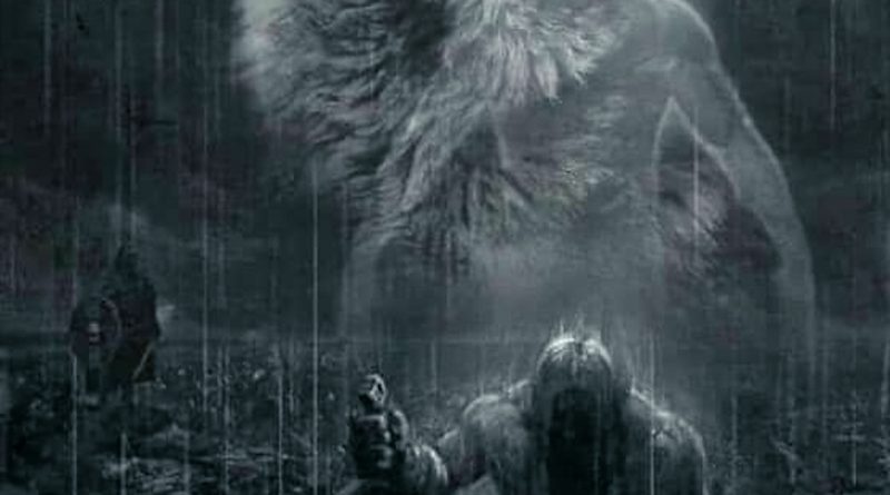 Neredeysen çıkta gel