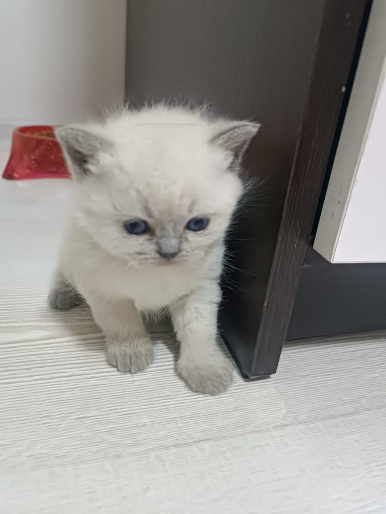 Arkadaşlık Ben Sezerkcmz