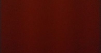 DÜRÜST BAYAN VARMI