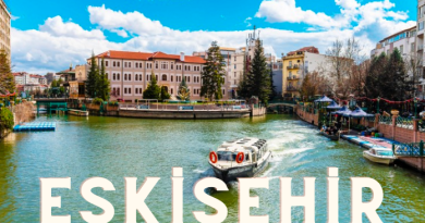 Eskişehir Gökhan bayan arkadaş arıyorum