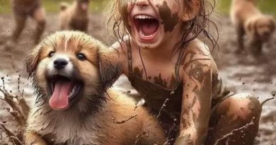 Maddi destek arayan bayanlar 4 Maddi destek arayan bayanlar