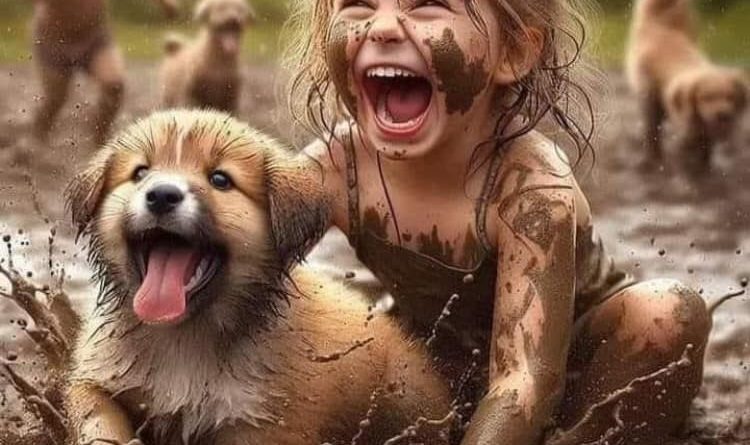 Maddi destek arayan bayanlar