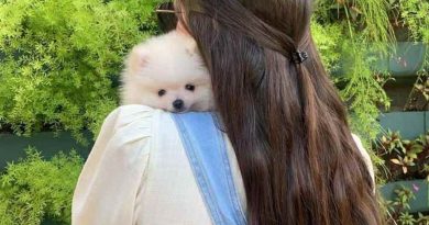 SesliChat Yeni Açılan Mobil Sesli Siteler, Sesli Sohbet Nedir, Sesli Sohbet Siteleri, Sesli Chat 