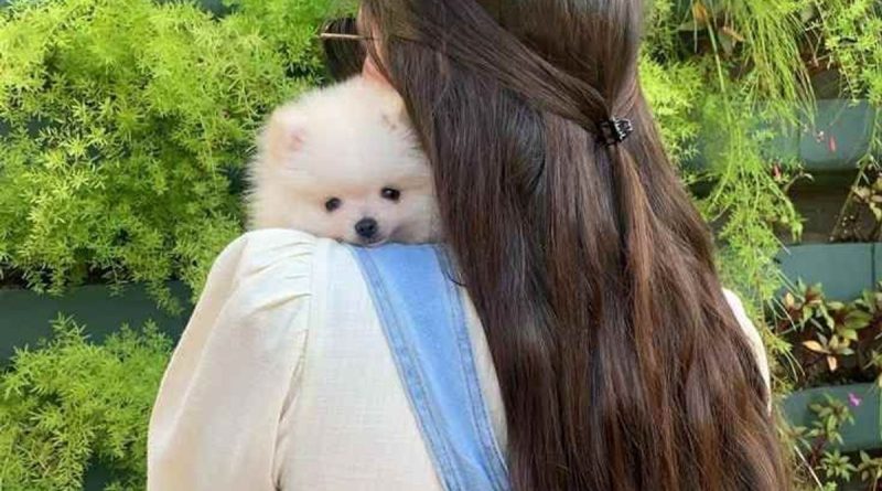 SesliChat Yeni Açılan Mobil Sesli Siteler, Sesli Sohbet Nedir, Sesli Sohbet Siteleri, Sesli Chat 